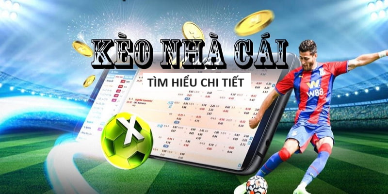 Hướng dẫn luật tiến lên miền Bắc cực dễ cho tân thủ